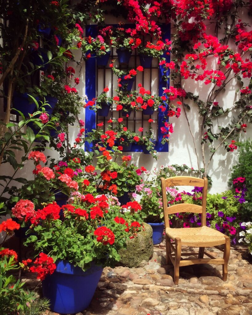 Los Patios de Córdoba: guía completa del Festival y el barrio de San Basilio Patio típico cordobés Patrimonio de la Humanidad - Barrio Apartamentos Villa Antala